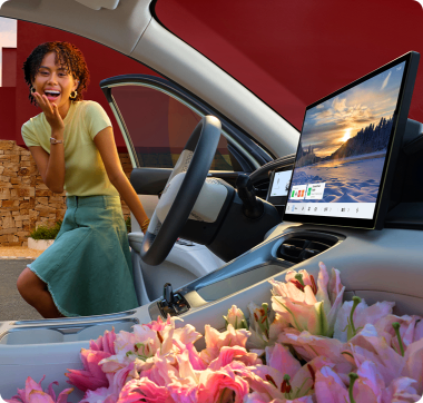 FLYME AUTO INFOTAINMENT SYSTEM